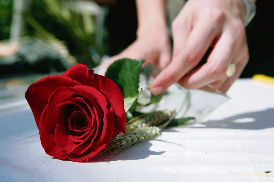 Sant Jordi protagonitza l'A Fons de la setmana. FOTO: Artur Ribera