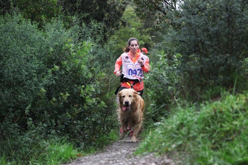 Imatge del Cani-Cros de les Planes, que es va fer el novembre. FOTO: Lali Puig