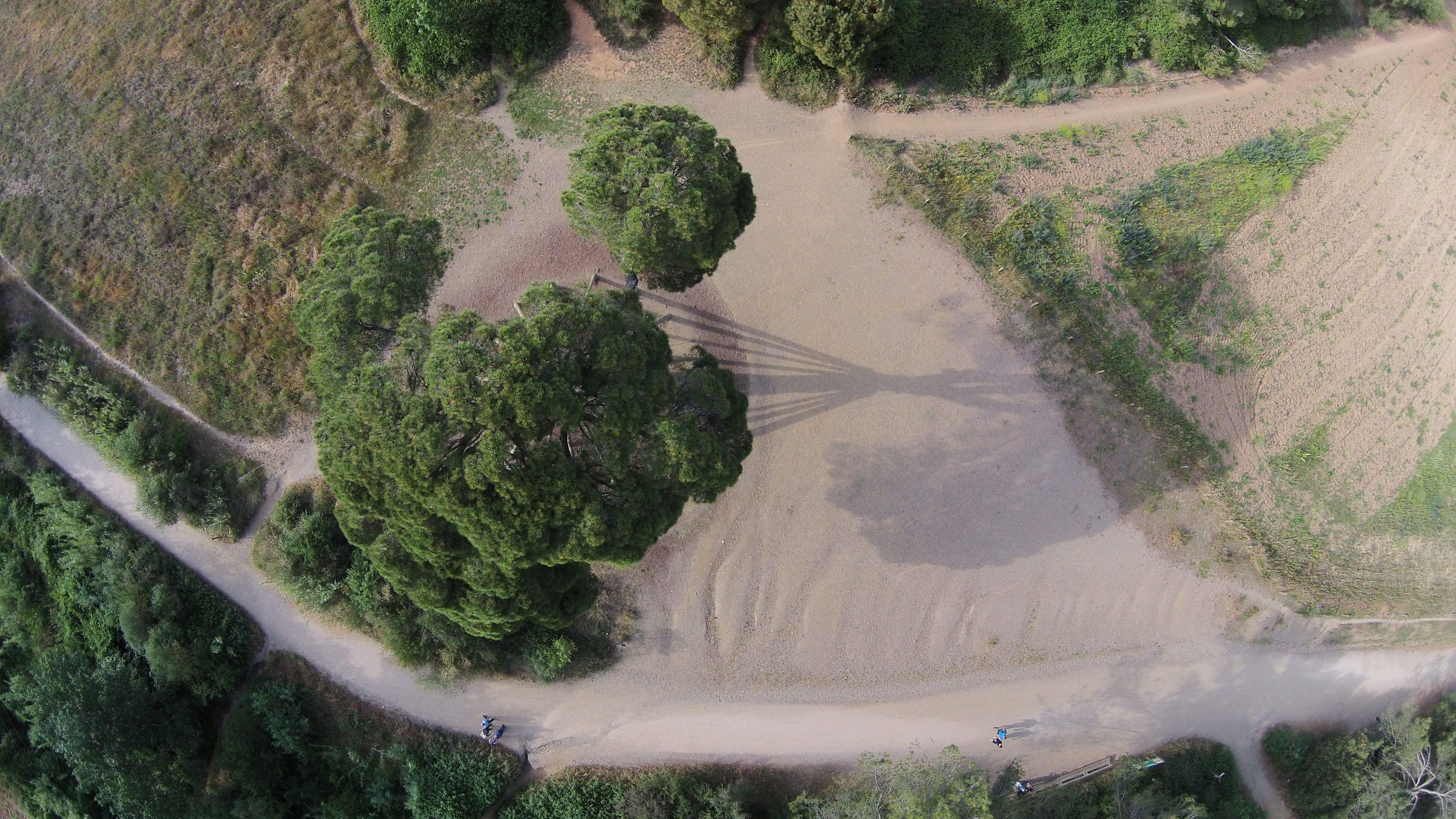 El Pi d'en Xandri a vista d'ocell