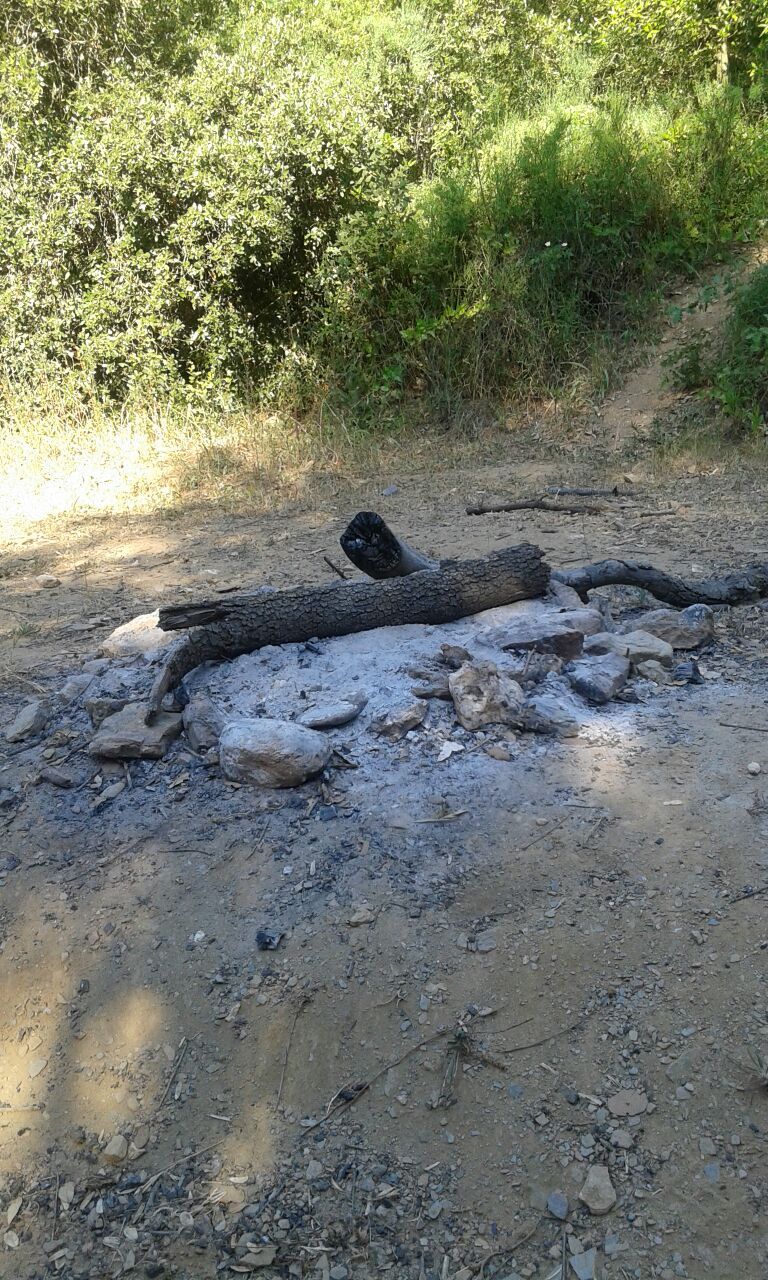 Imatge de les restes de la foguera. FOTO: Cedida