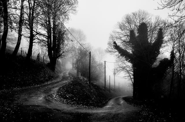 Una de les imatges del projecte. FOTO: David Molina