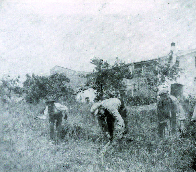 Temps de sega a la masia de Can Delaire. Foto: cedida per la família Pou-Vilà
