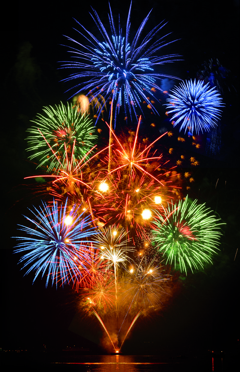 La berbena és una planta apreciada en jardineria