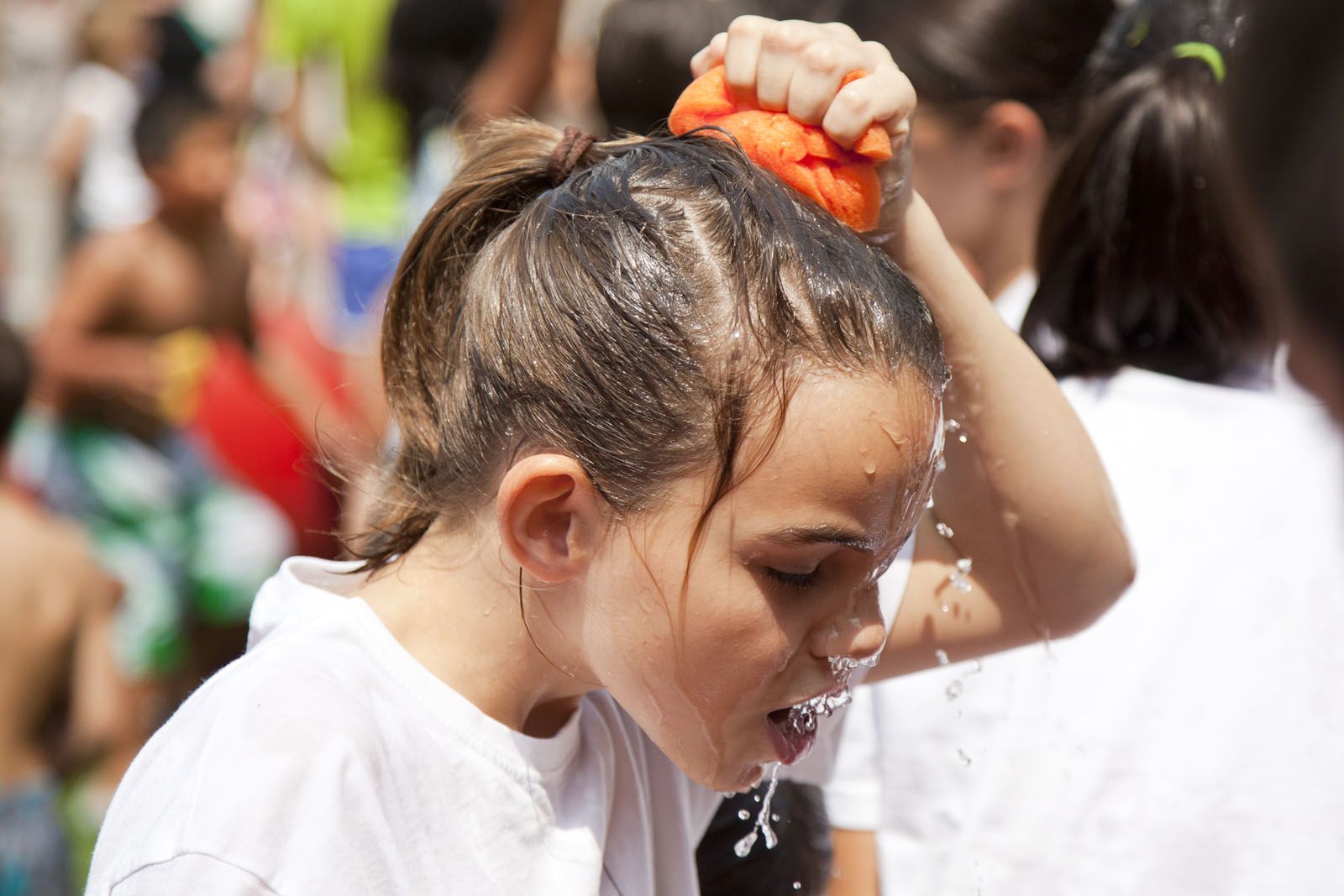 L'aigua és indispensable per fer front a les altes temperatures. FOTO: Lali Puig