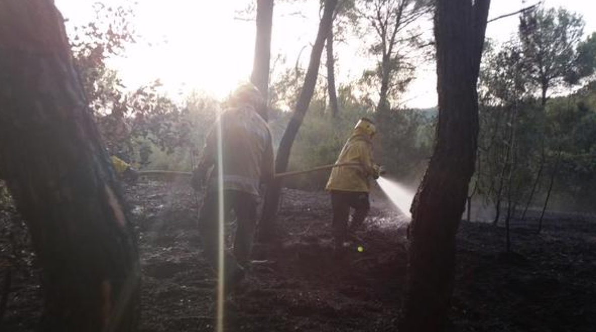 Un total de 7 dotacions han treballat al lloc dels fets. FOTO: @GIEADFSCV