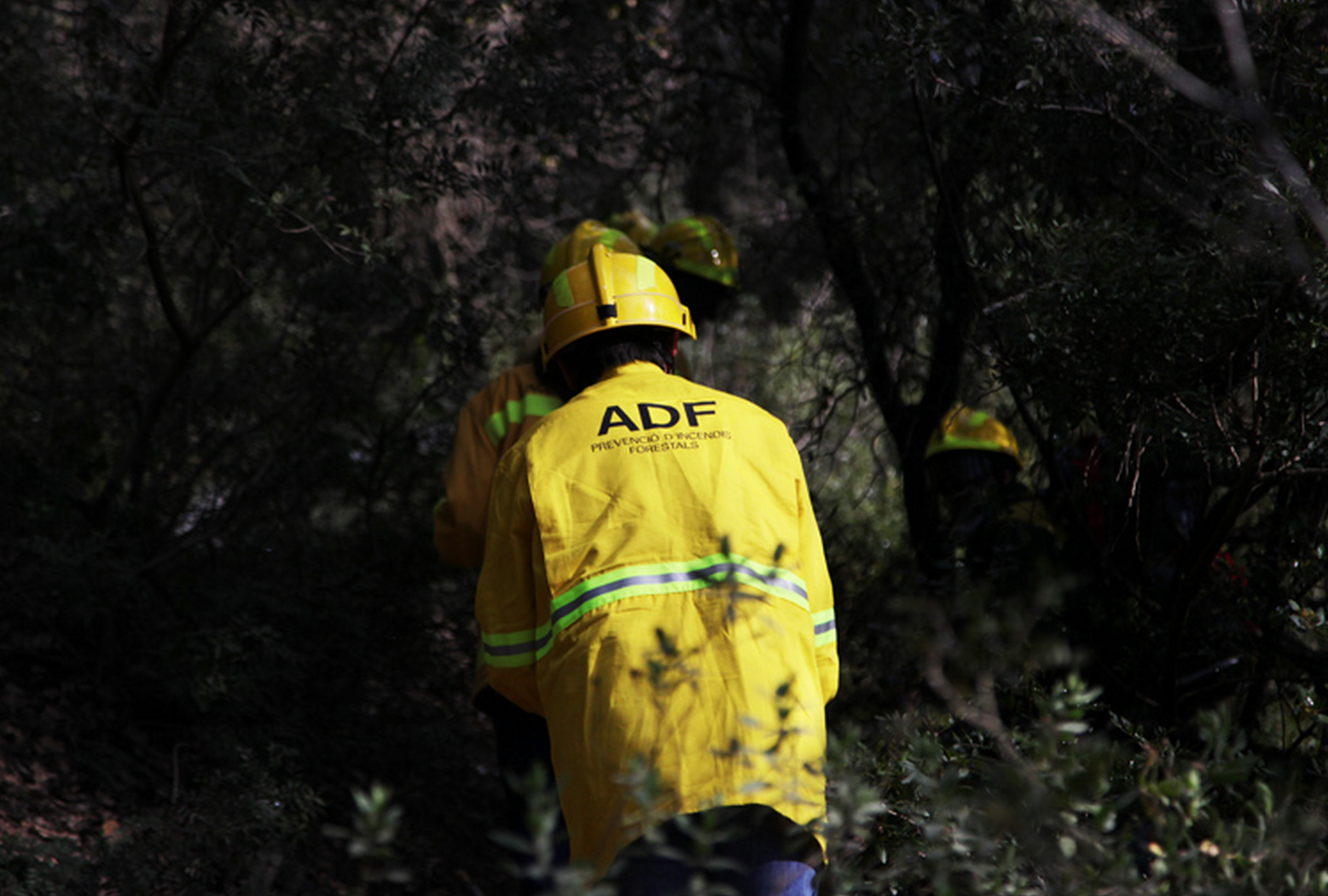 Els voluntaris de l'ADF estan preactivats. FOTO: Lali Puig