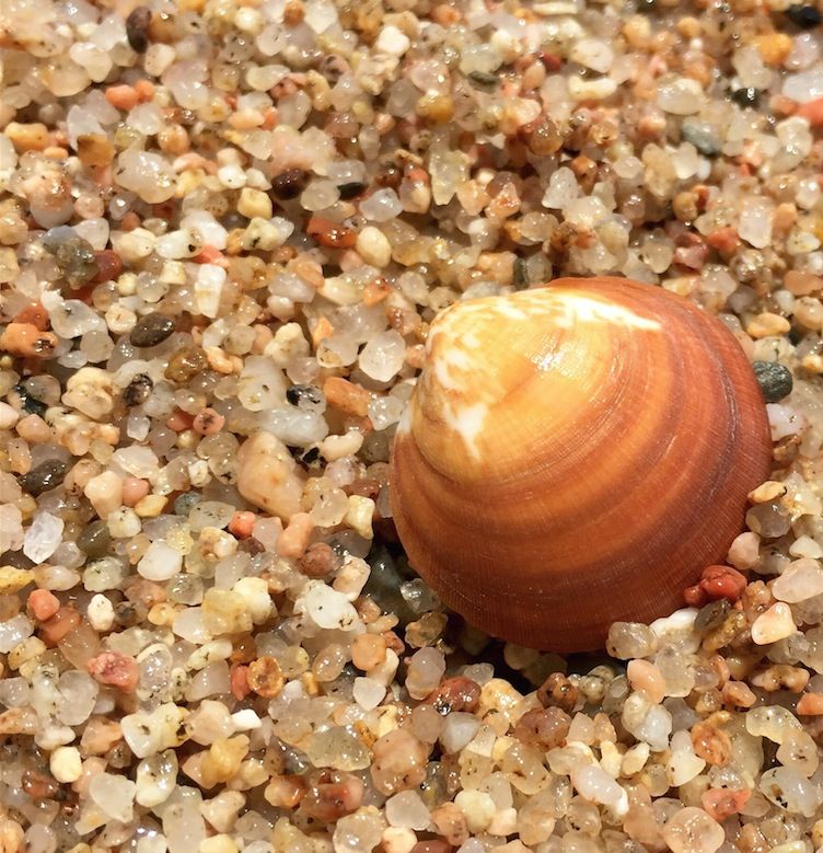 "Per fi sentir las onades". FOTO: Manuel Calvo Rodríguez