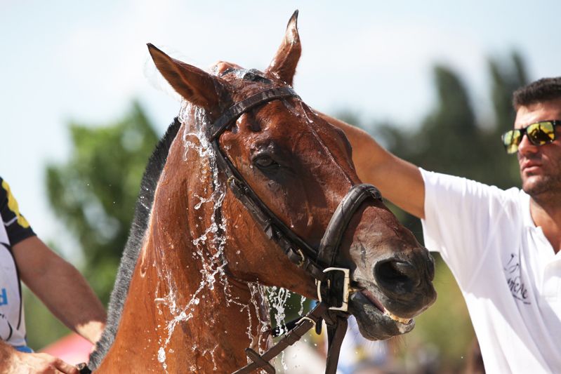 Final masculina i femenina del Campionat d'Espanya Absolut de Horseball a l'Hípica Can Caldés. FOTOS: Lali Puig