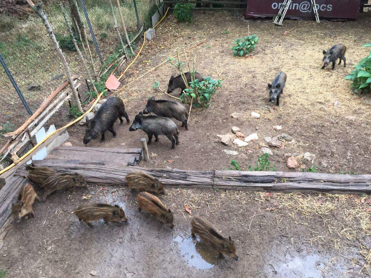 La casa de Jaume Bartual es troba a prop del camí de Can Bell. FOTO: Jaume Bartual