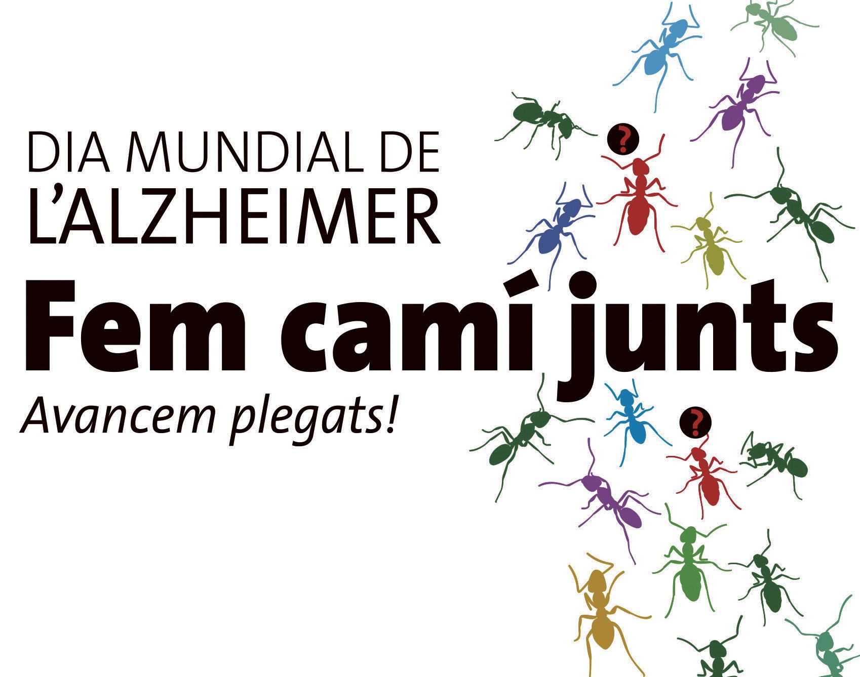 Aquest cap de setmana se celebren diverses activitats per commemorar el Dia Mundial d'aquesta malaltia