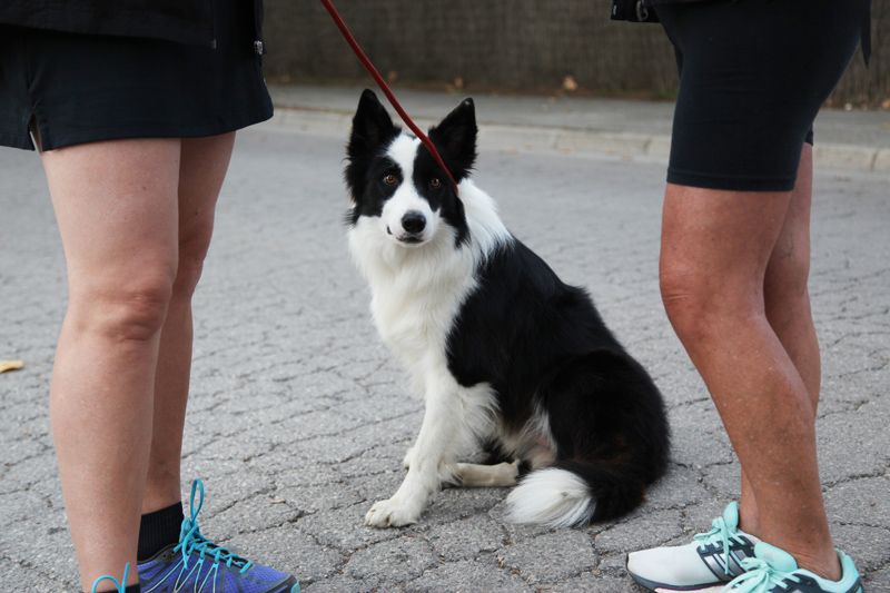 Festa Major de Valldoreix: Trail de Festa Major davant del Pavelló de Valldoreix. FOTOS: Lali Puig