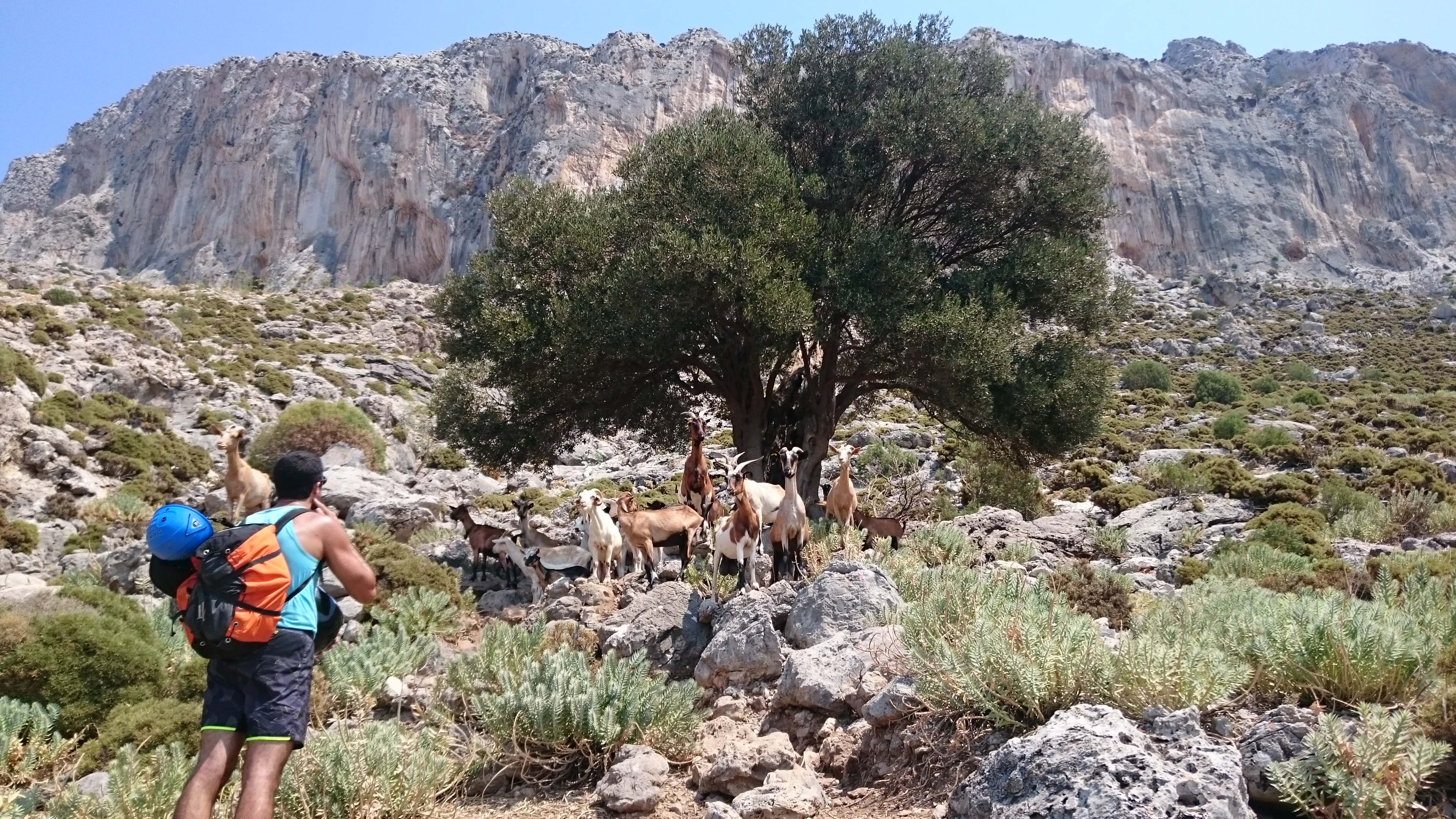 Casa nostra és casa vostra