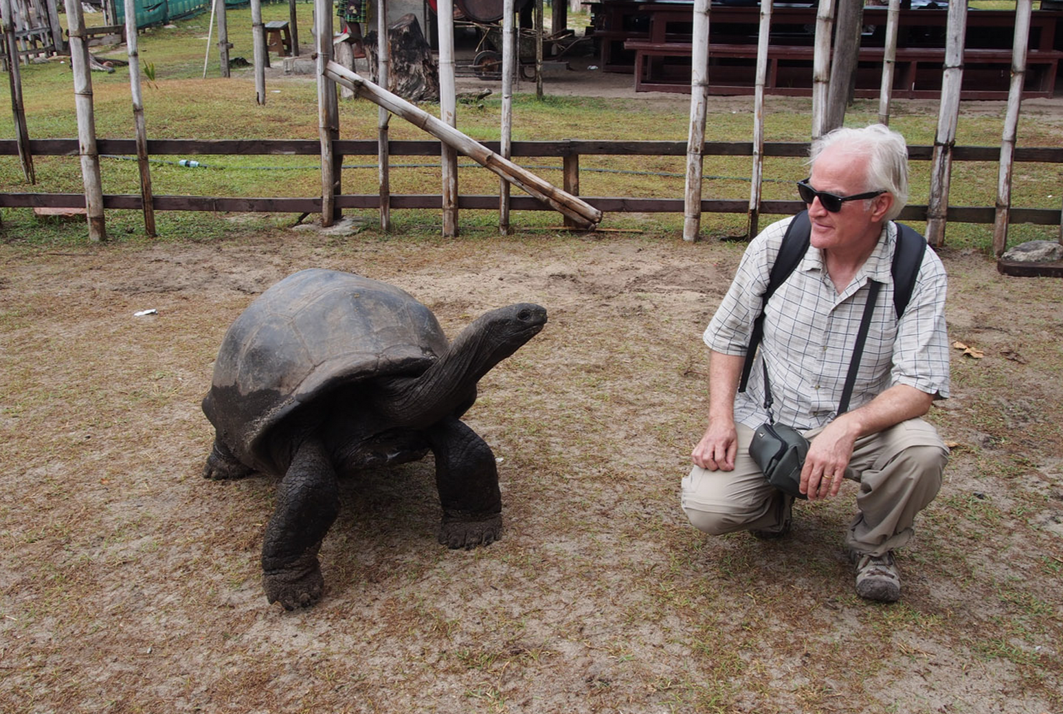 Intercanvi de mirades