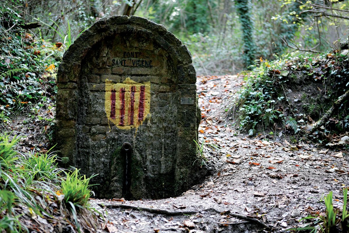 Font de Sant Vicenç.  Foto: Artur Ribera