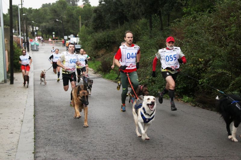 Al 2014 hi van córrer 60 persones amb els seus gossos. FOTO: Lali Puig