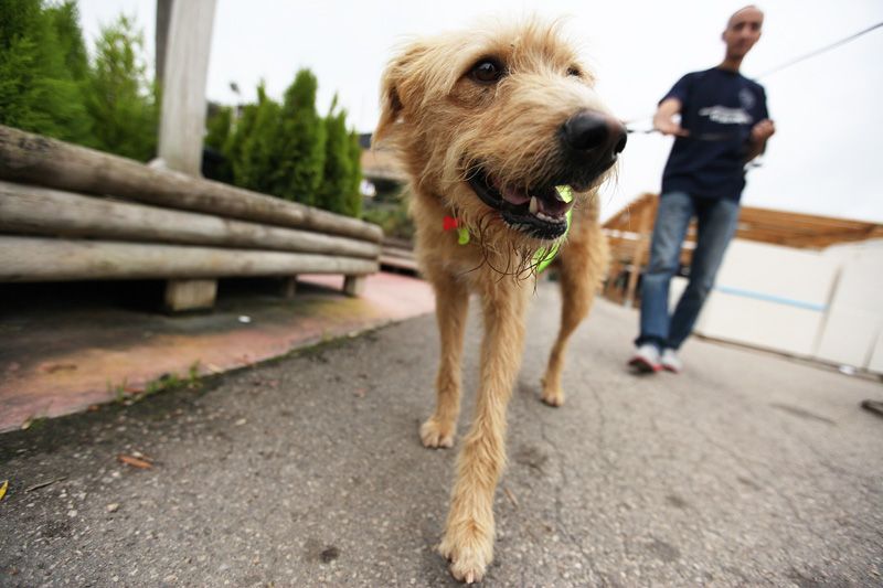 El Cau Amic també s'ha afegit a aquestes sessions informatives FOTOS: Lali Puig