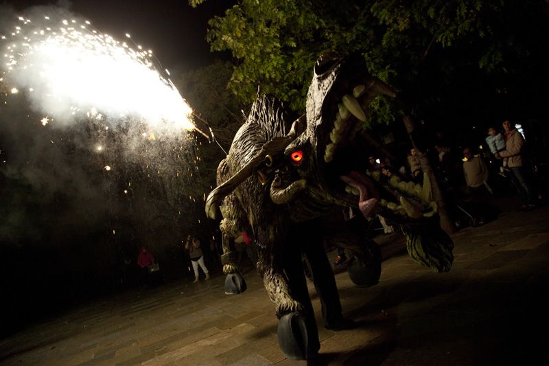 El Boc de Can Vernet serà el protagonista del correfoc  FOTO: Lali Puig