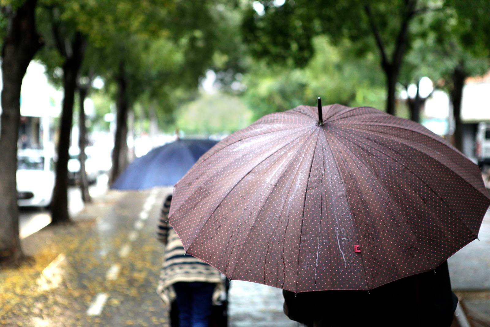 “Abril plujós, maig ventós” FOTO: Artur Ribera