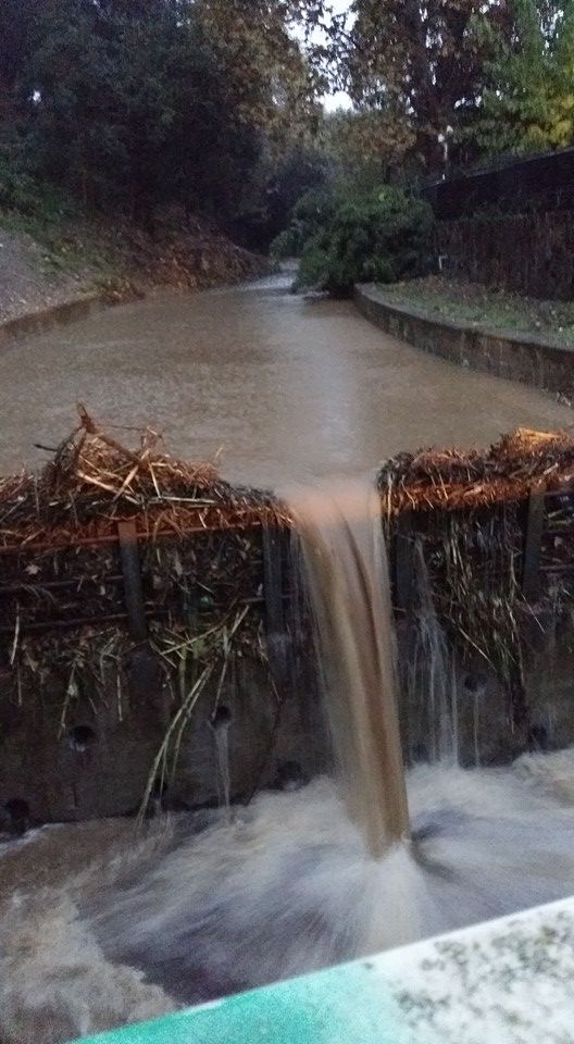 FOTO: Miquel Cervantes