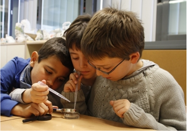 Alumnes de l'escola L'Olivera fent experiments. FOTO: Cedida