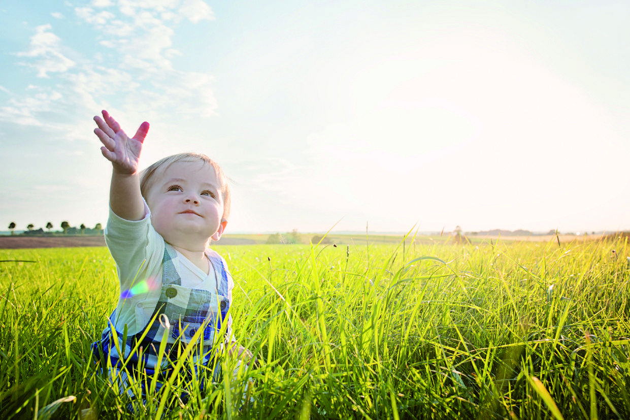 Al novembre, arriba l'estiuet de Sant Martí. FOTO: Cedida