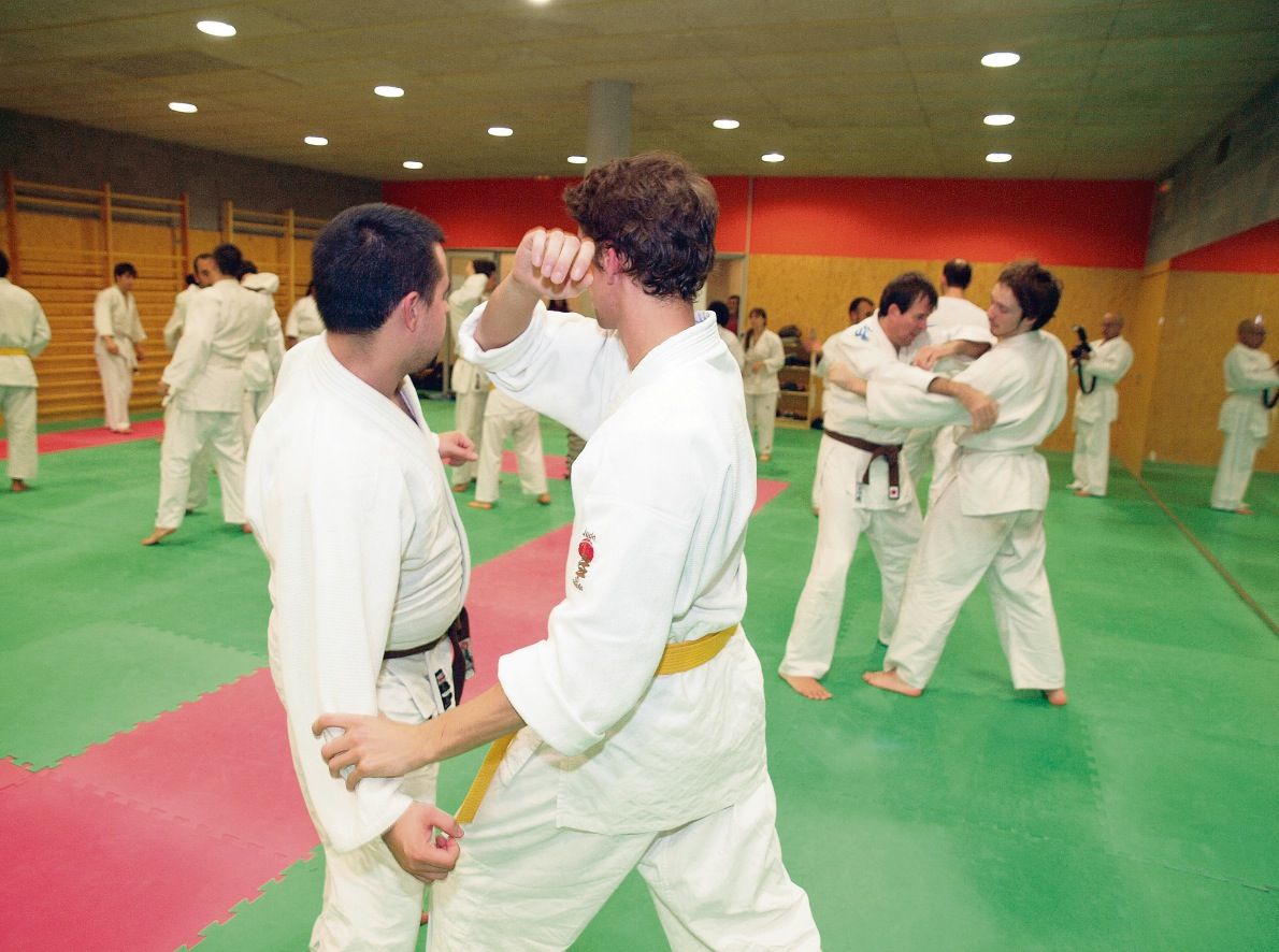 Els entrenaments es fan a la Sala d’Arts Marcials del Pavelló 3. FOTO: Artur Ribera