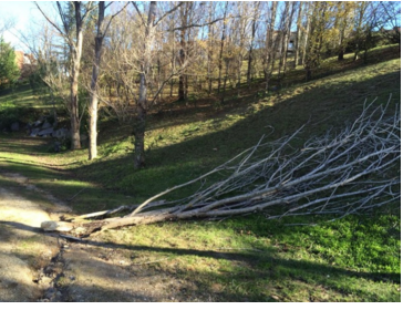 El fort vent acostuma a deixar imatges com aquesta a Sant Cugat