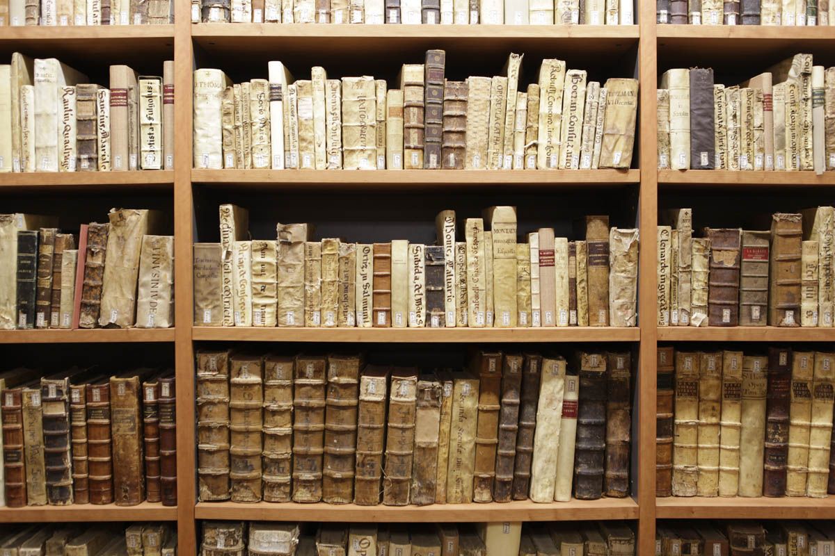 El gran corpus lèxic de què gaudim en l’actualitat no hauria estat possible sense ella. FOTO: Artur Ribera