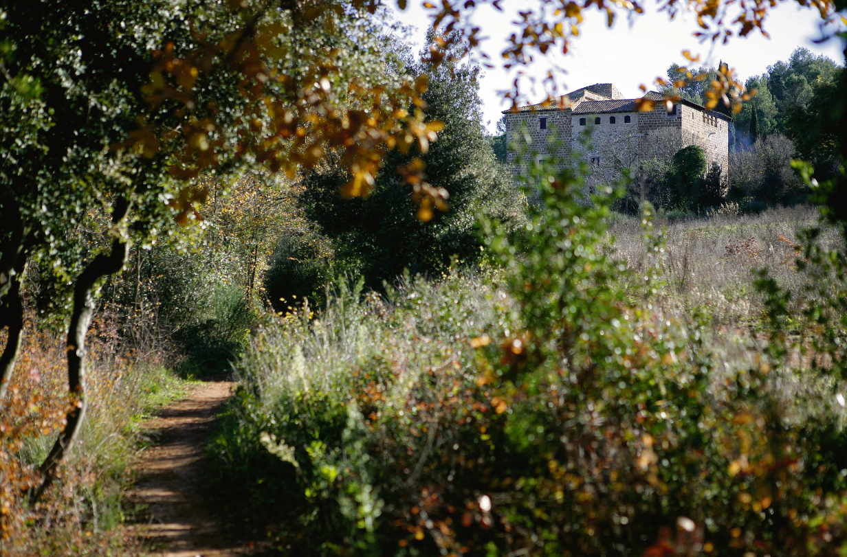 El 60% dels terrenys de Torre Negra són de Nuñez i Navarro i la resta de petits propietaris FOTO: Artur Ribera