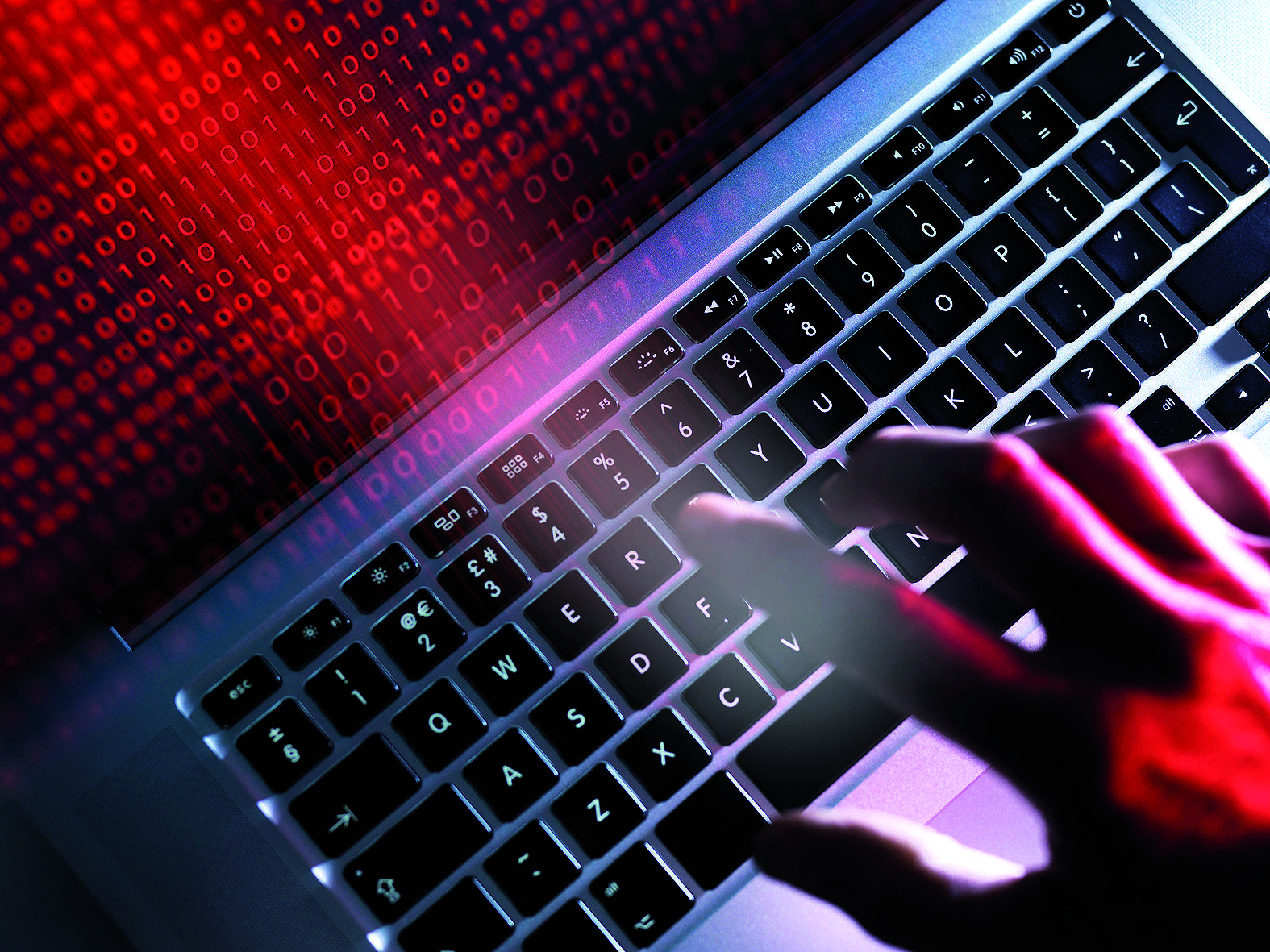 Soporte Informático ha ampliat recentment els seus serveis. FOTO: Cedida 