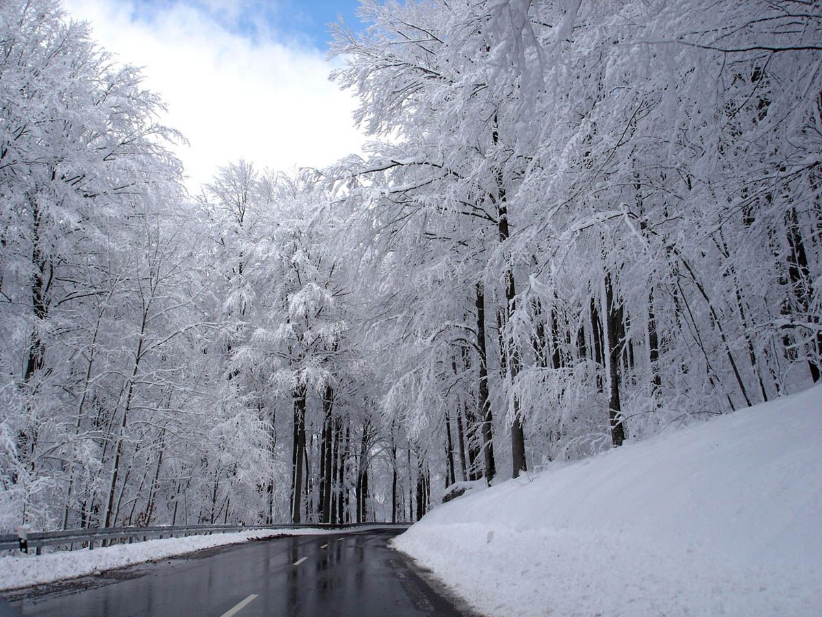 Desembre nevat, bon any que ve assegurat! FOTO: Cedida