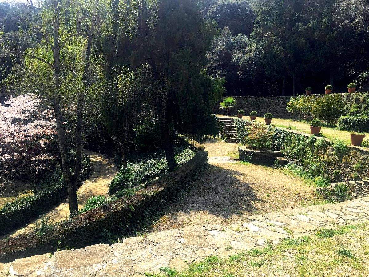 Imatge dels vivers de Can Borni. Foto: Cedida