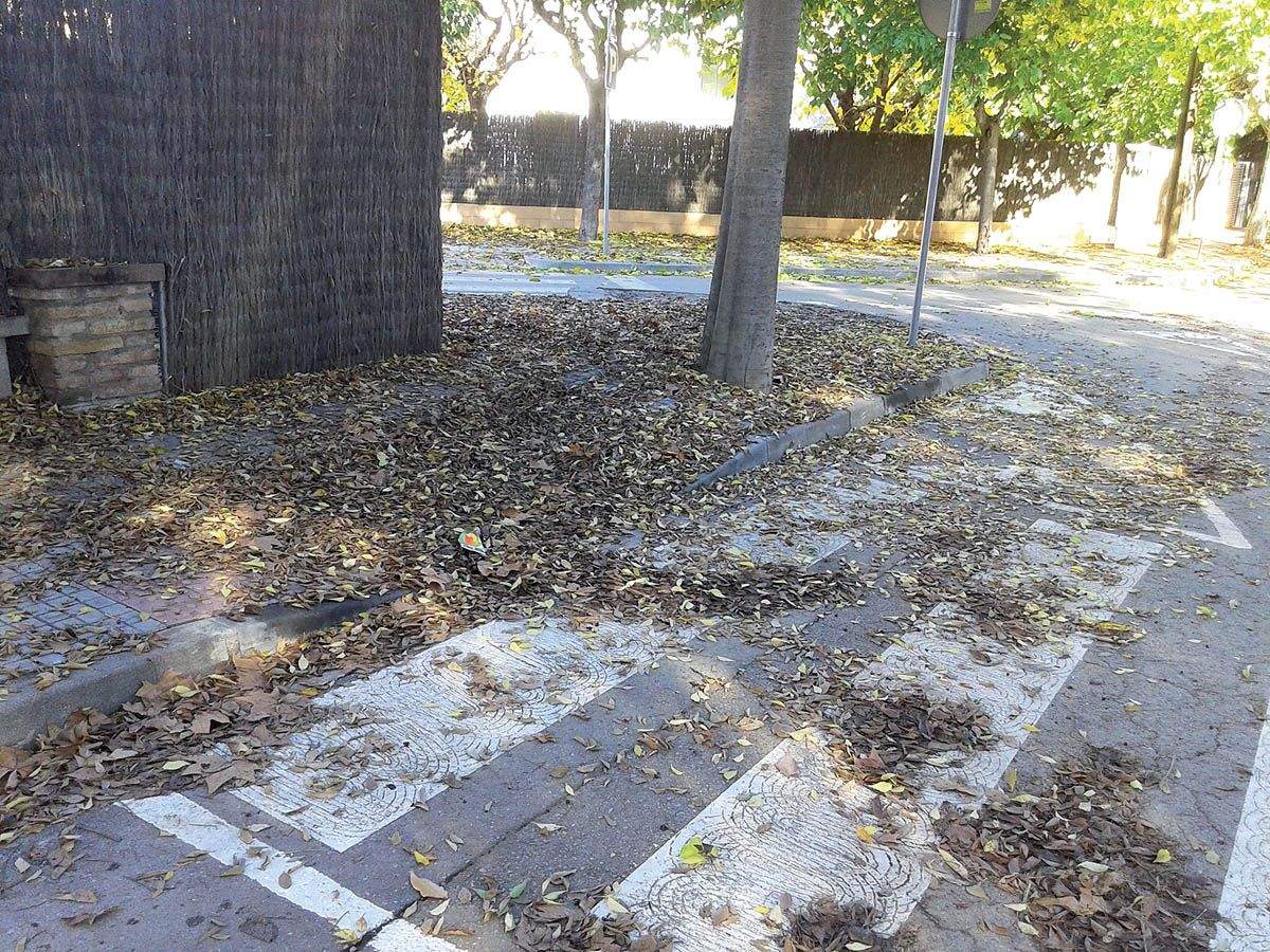 Les fulles. FOTO: Carlos Gavaldá