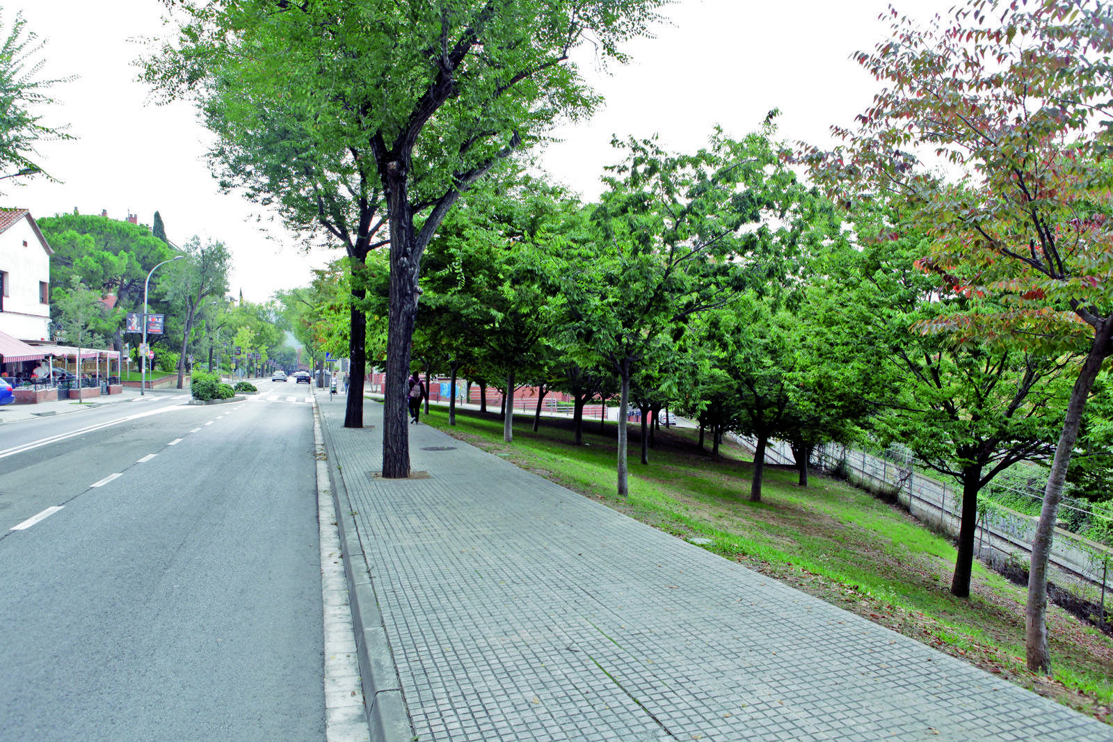 (2015) FOTO: Artur Ribera