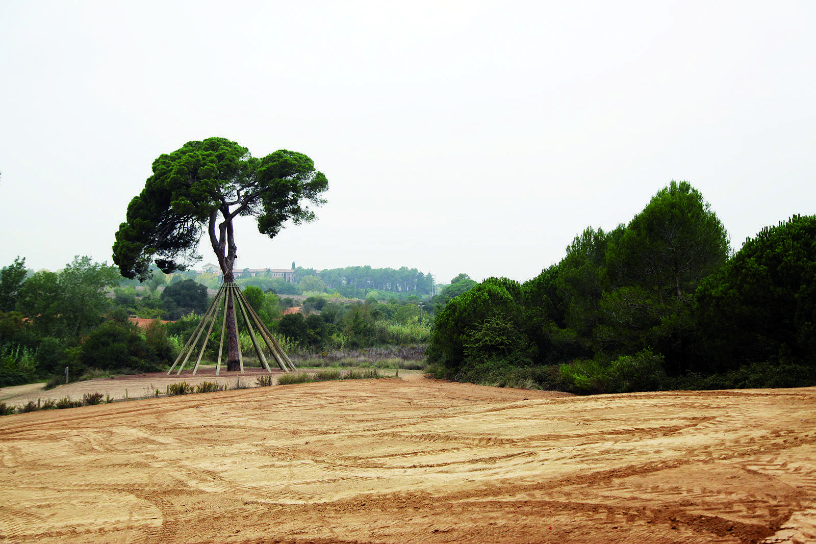 (2015) FOTO: Lali Puig