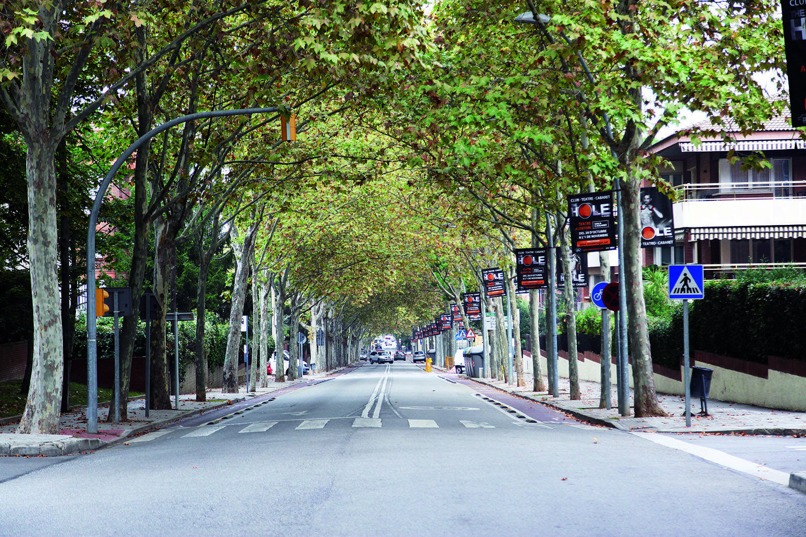 (2015) FOTO: Lali Puig