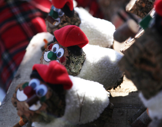 La Floresta i Les Planes faran cagar el Tió aquest cap de setmana. FOTO: Lali Puig 