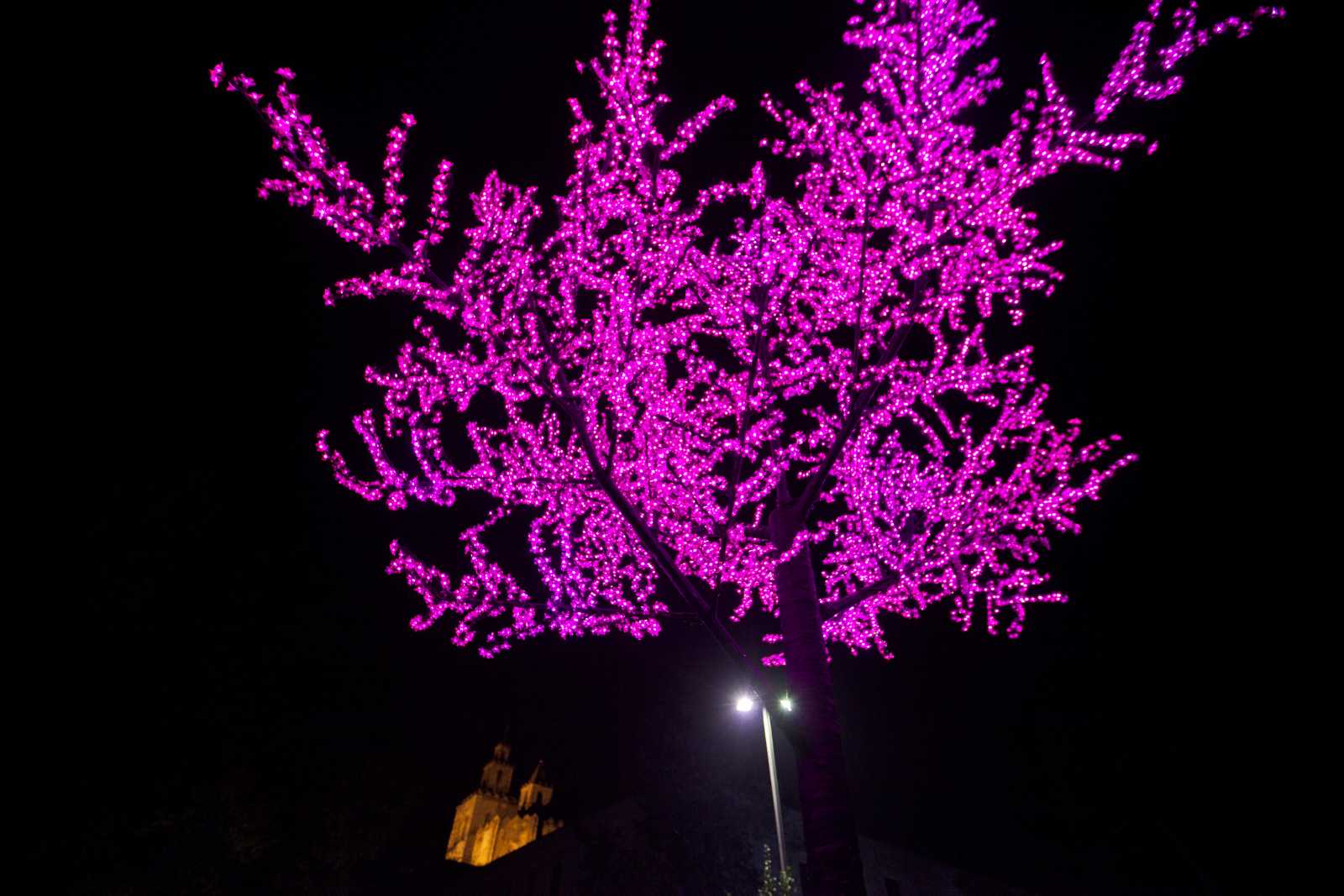 Nadal és el protagonista de les activitats de la setmana. FOTO: Lali Puig