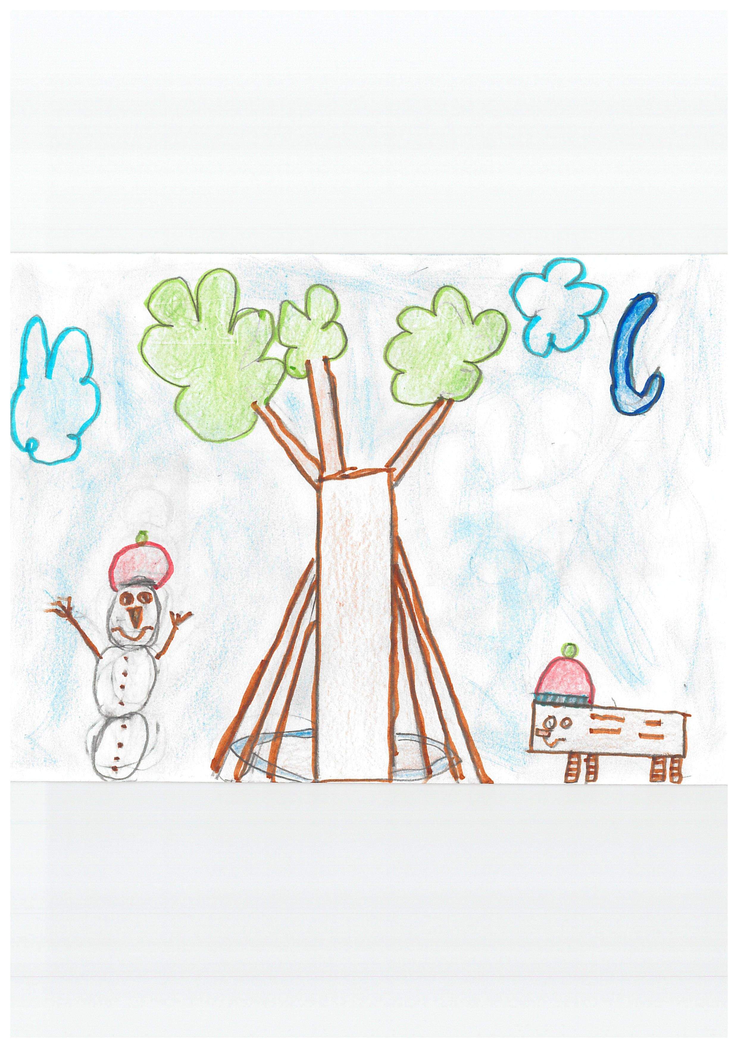 Tomás Pujol Pradillos - 3C Col·legi Viaró