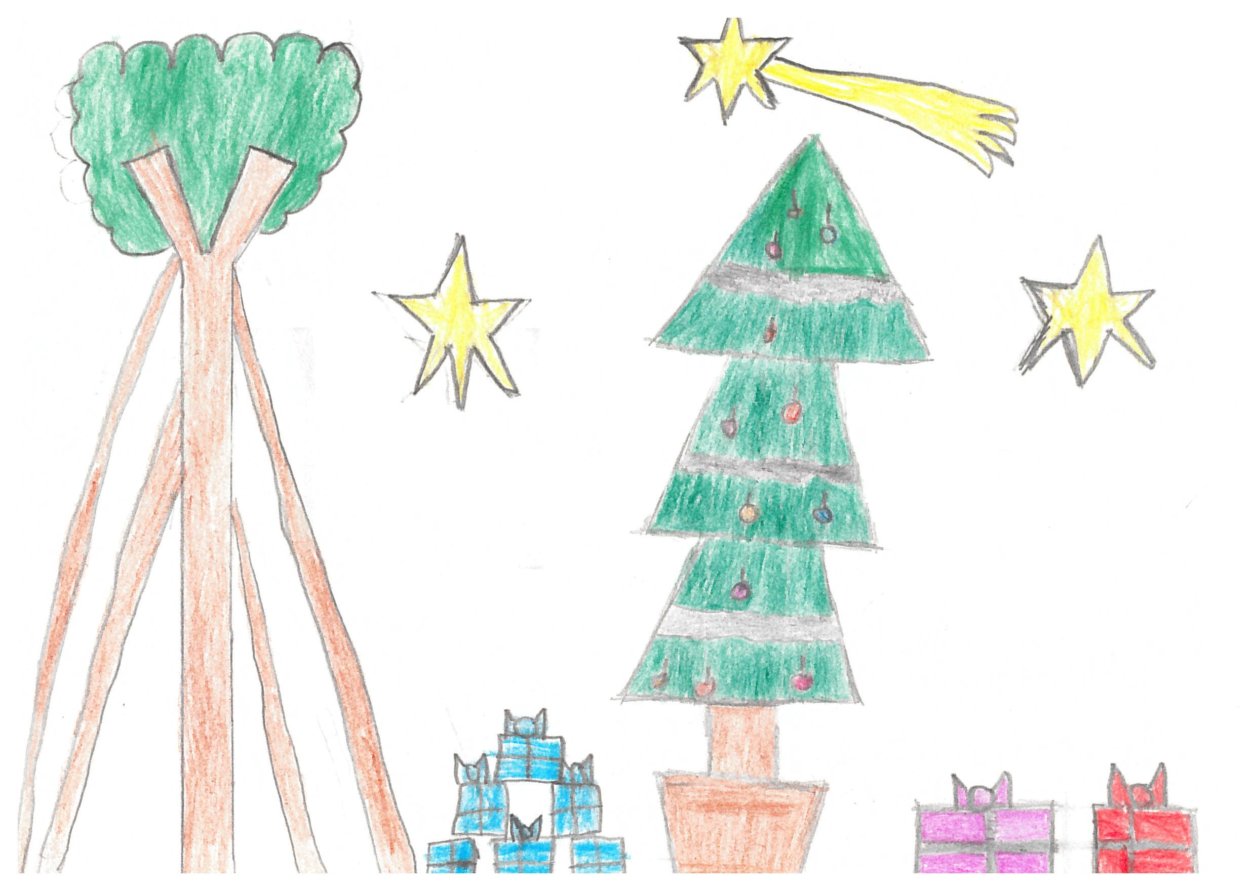 Paola Alvarez - 3A Escola Catalunya