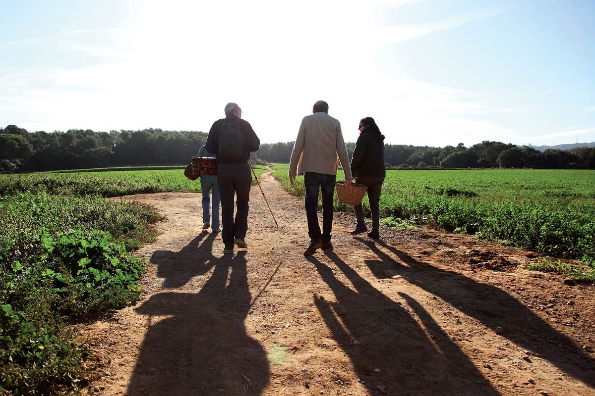 Collserola és un gran parc natural ón gaudir i conectar amb la natura.  Foto: Lali Puig