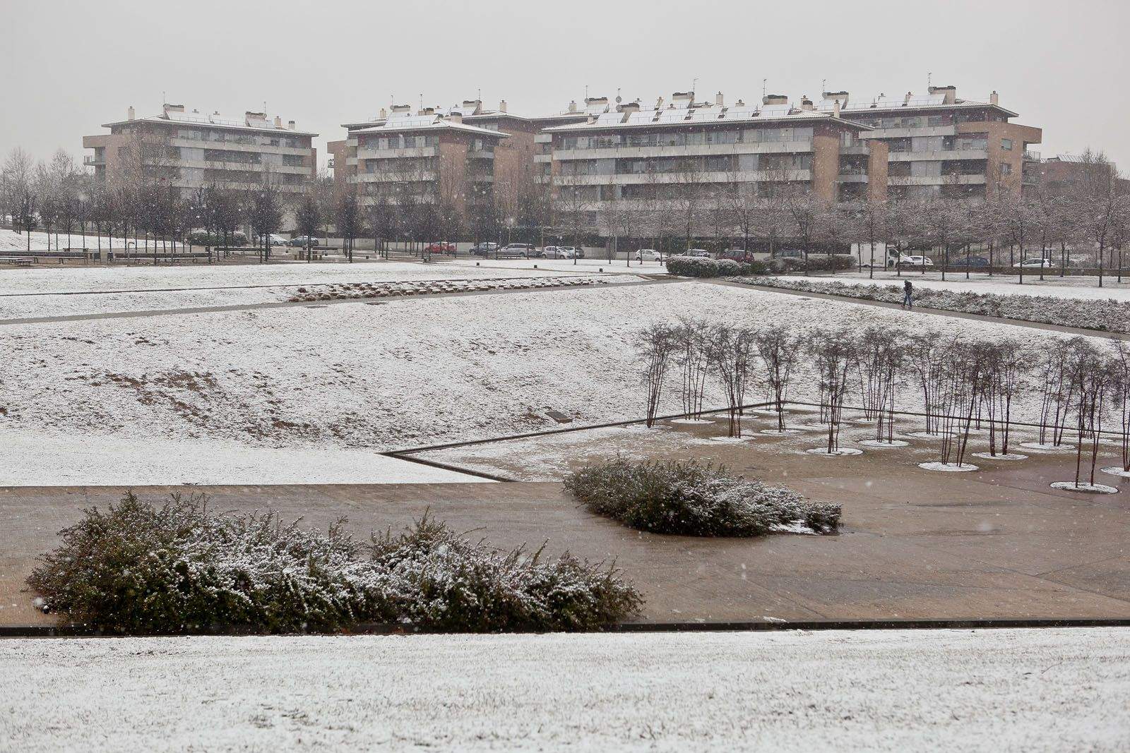 Nevada del 5 de febrer. FOTO: Artur Ribera
