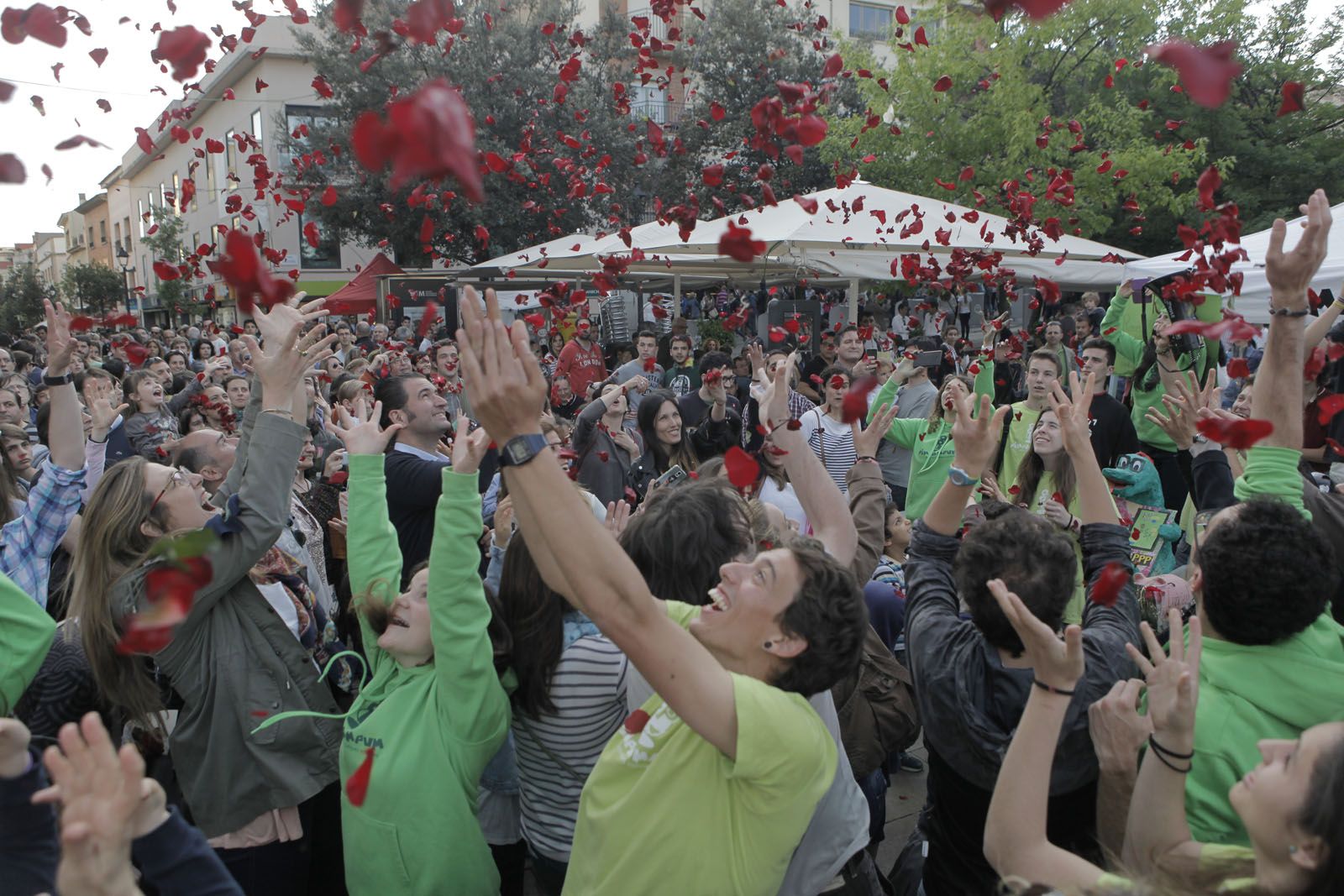 Celebració de St. Jordi. FOTO: Artur Ribera
