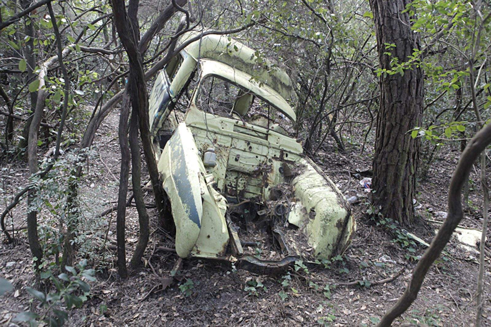 El '4latas' mimètic de Collserola. FOTO: Artur Ribera
