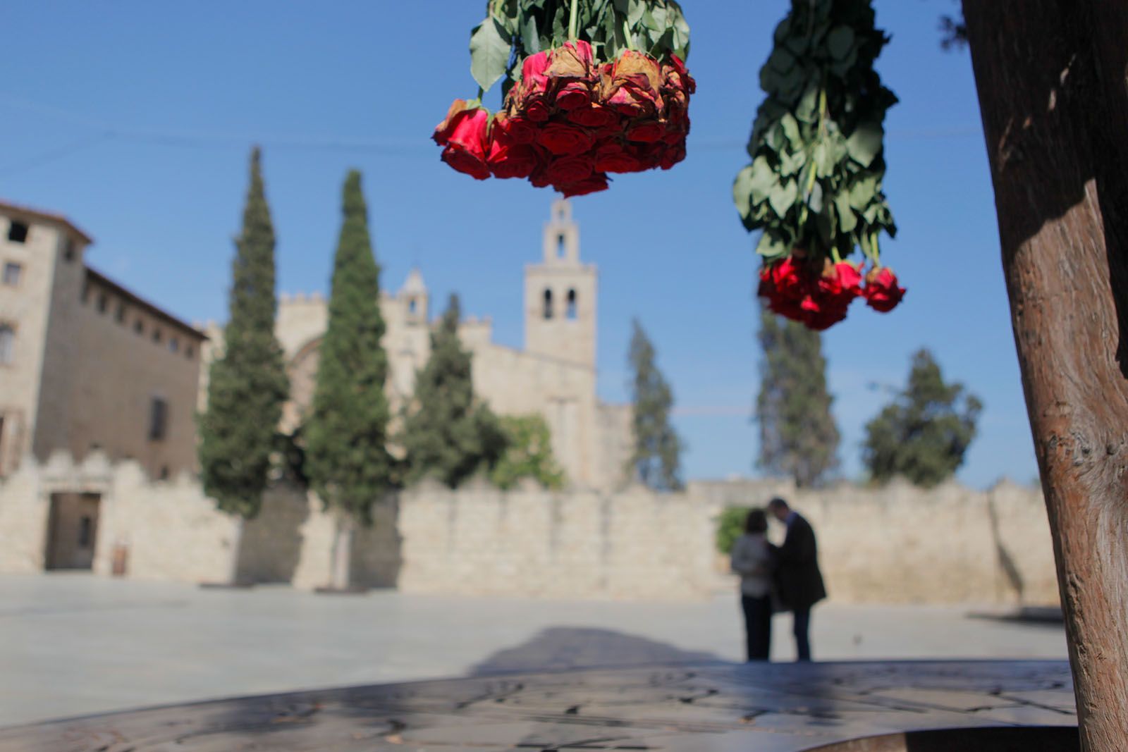 AMOR per St. Jordi. FOTO: Artur Ribera