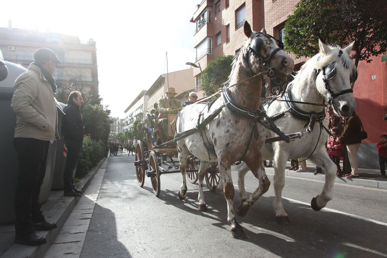 L'anterior edició dels Tres Tombs. FOTO: Lali Puig