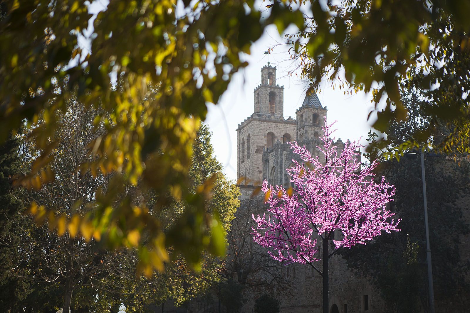 L'any comença tranquil. FOTO: Artur Ribera