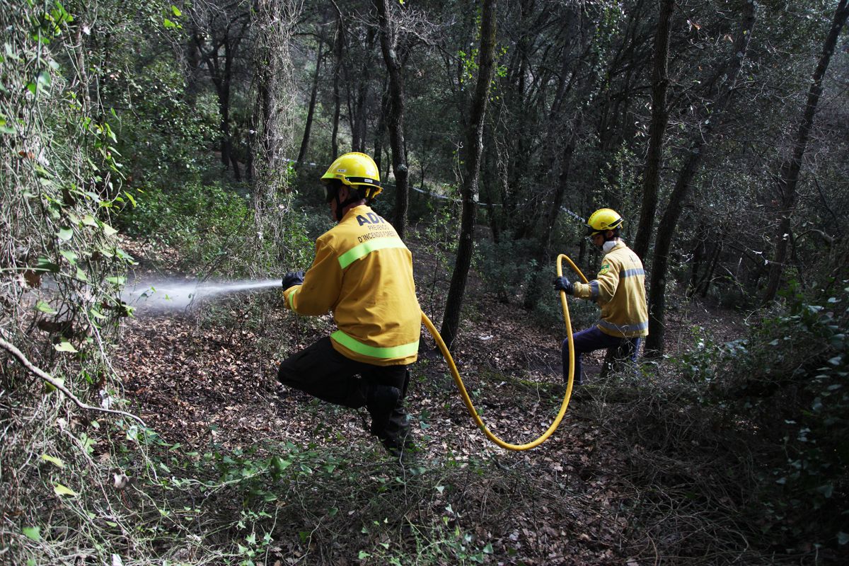 Collserola té dèficit d'aigua. FOTO: Artur Ribera
