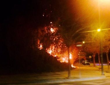 Un dels focs que va cremar a la zona de Can Solà. FOTO: Twitter ADF