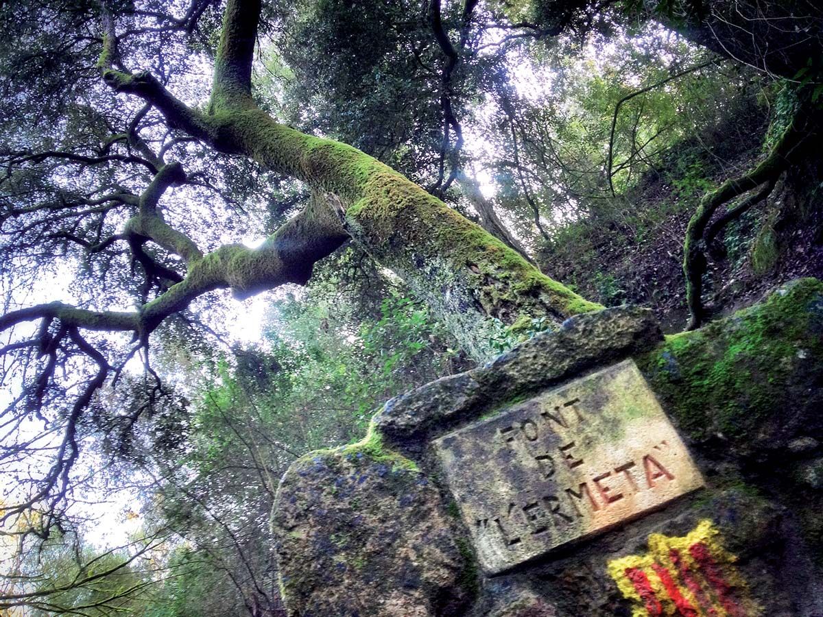 Font de l’Ermetà, la més propera a Can Gordi.  Foto: Artur Ribera